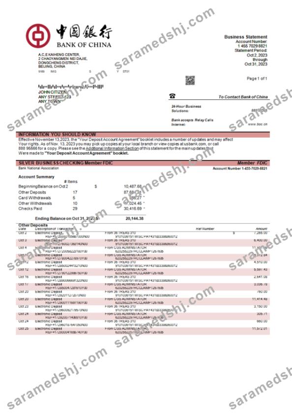 Bank of China enterprise statement Word and PDF template